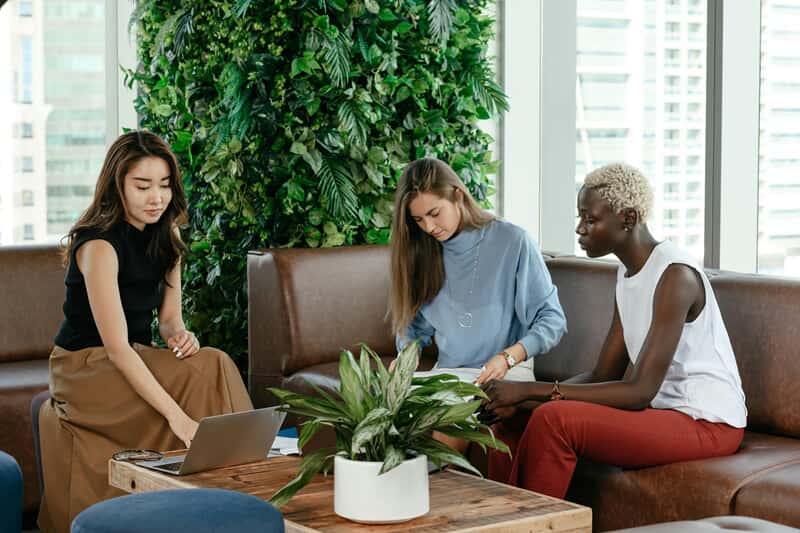 Biophilic design in an office space.
